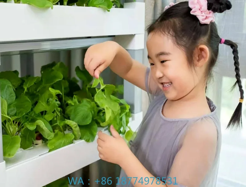 Home Automation Systems Diy - nt China Hydrokultur Grow Box System