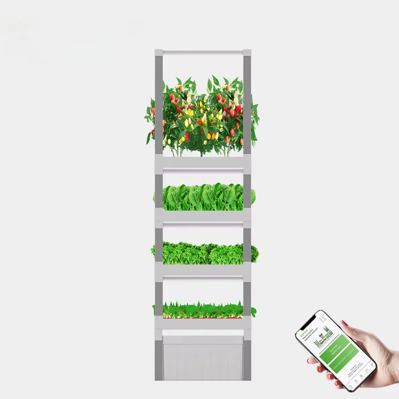 nt China Hydrokultur Grow Box  - Home Automation Systems Diy ulasan dan harga
