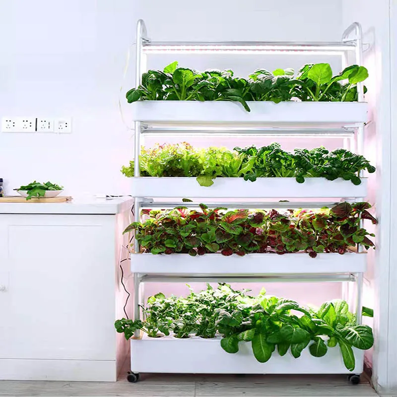 ydroponic Planting System Smar - Home Automation Systems Diy ulasan dan harga