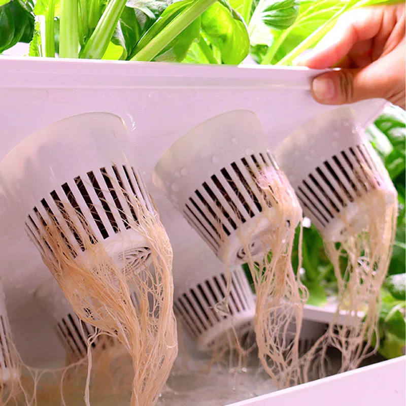 ydroponic Planting System Smar - Home Automation Systems Diy ulasan dan harga