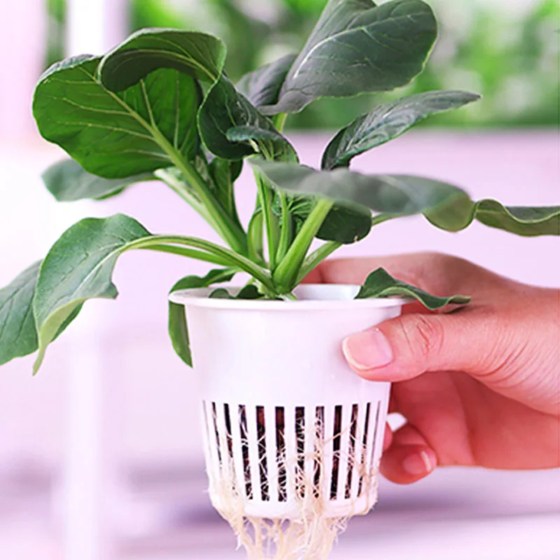 ydroponic Planting System Smar - Home Automation Systems Diy ulasan dan harga